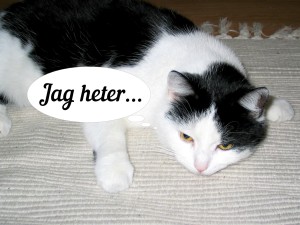 En svart vit katt på matta med pratbubbla ovanför som det står Jag Heter... i